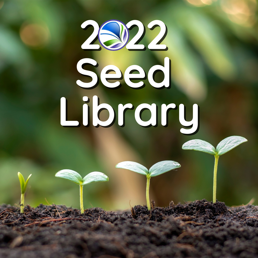 2022 seed library and sapling picture