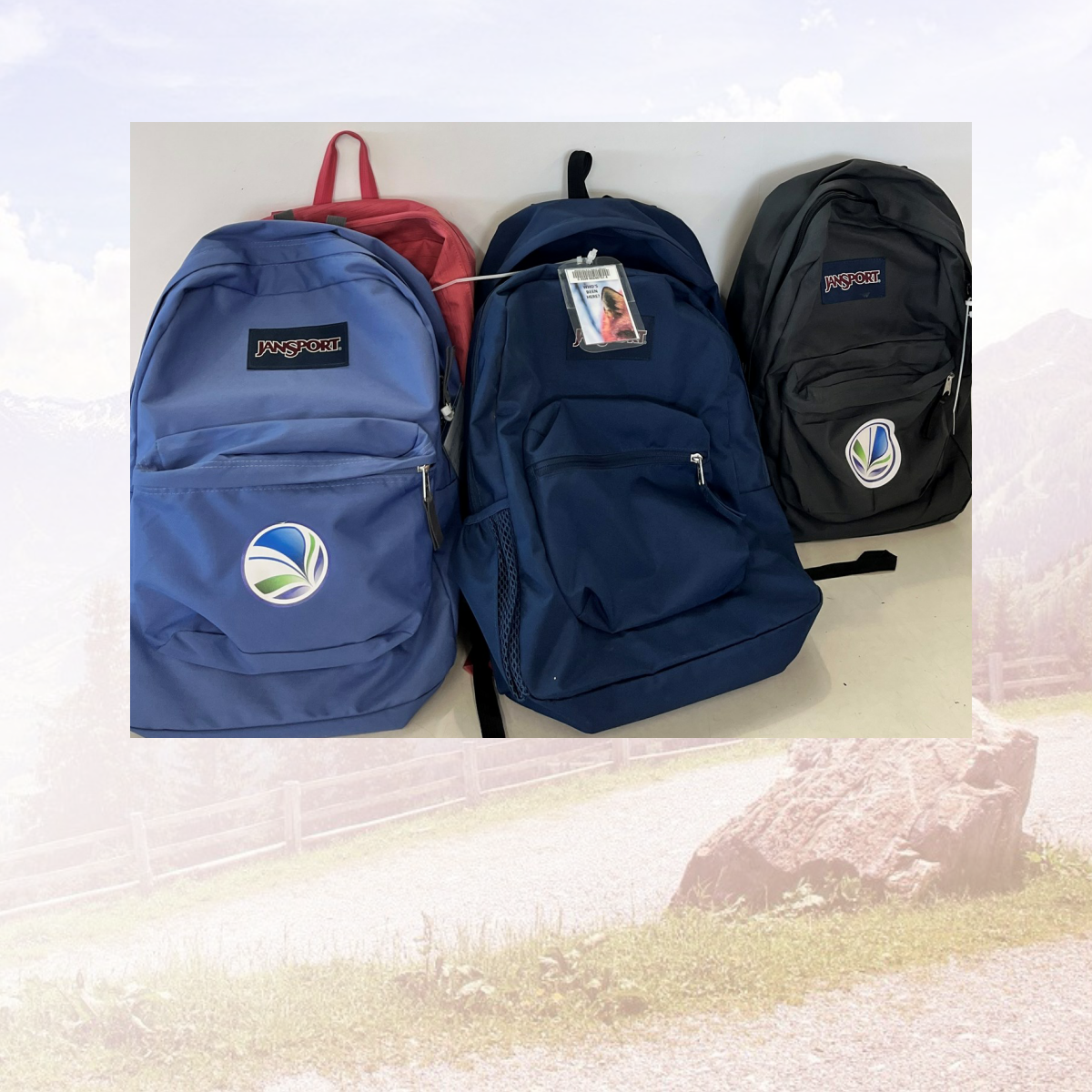 A fuzzy background photo of a rock in a field is overlaid with a clear photo of 4 backpacks featuring the BWG Library Logo