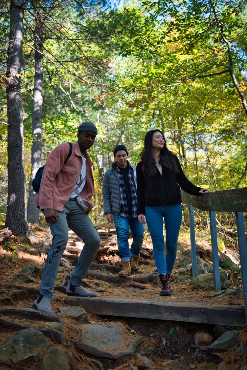 Photo of three young adults hiking in forest at Bon Echo Provincial Park