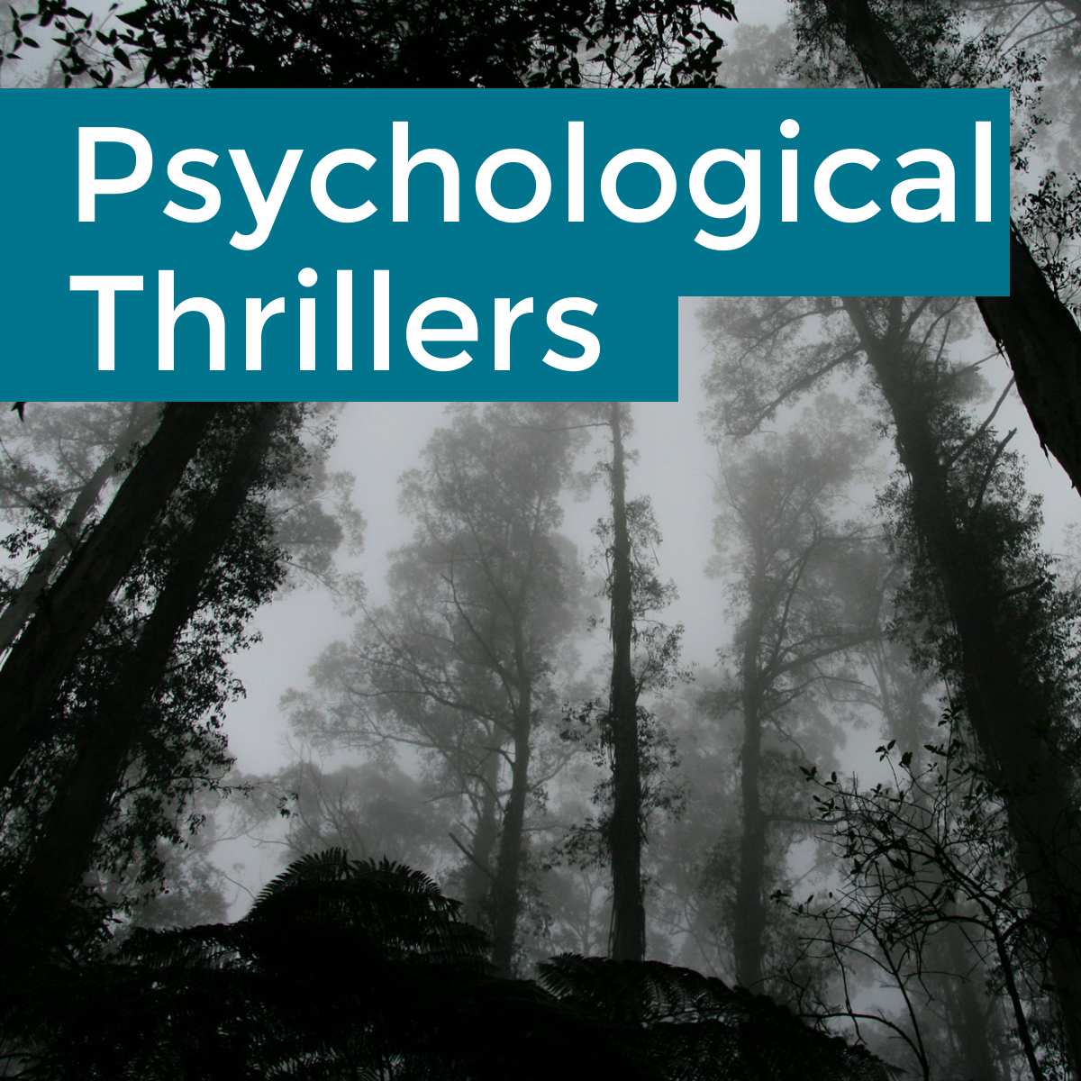 Psychological Thrillers - Dark forest background
